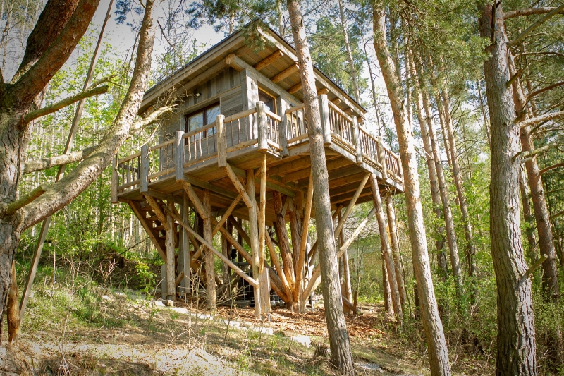 Treehouse Sokolí