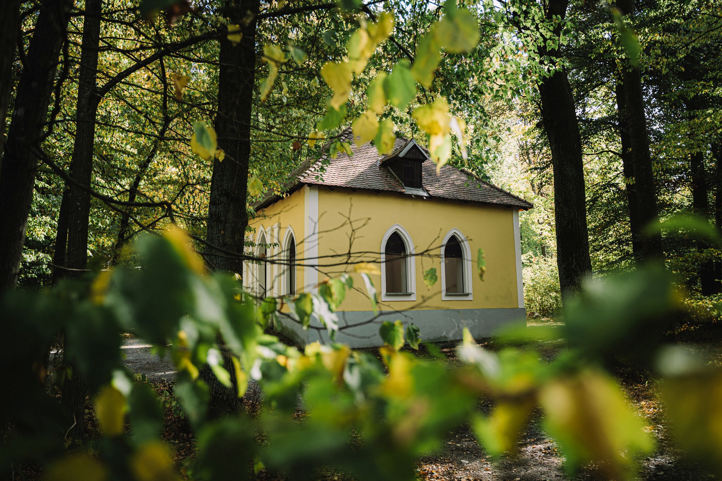 Graselova stezka nové syrovice